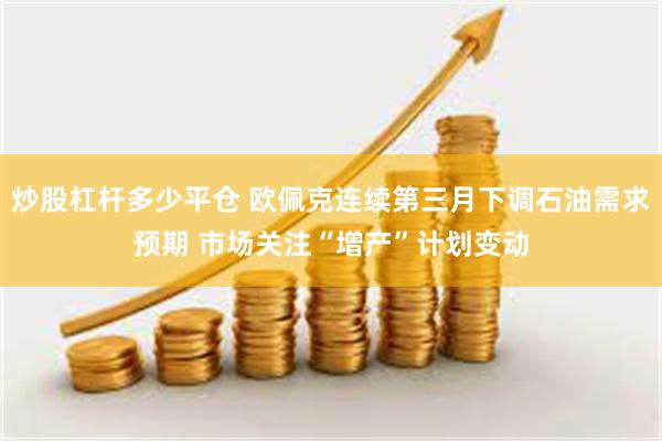 炒股杠杆多少平仓 欧佩克连续第三月下调石油需求预期 市场关注“增产”计划变动