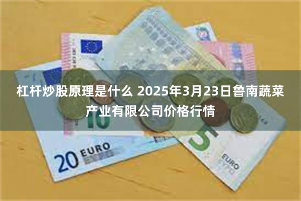 杠杆炒股原理是什么 2025年3月23日鲁南蔬菜产业有限公司价格行情