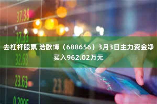 去杠杆股票 浩欧博（688656）3月3日主力资金净买入962.02万元