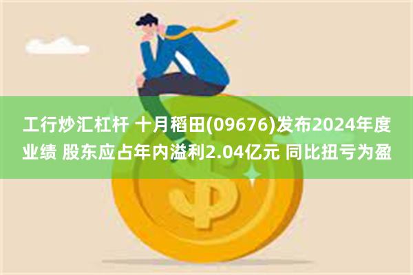 工行炒汇杠杆 十月稻田(09676)发布2024年度业绩 股东应占年内溢利2.04亿元 同比扭亏为盈