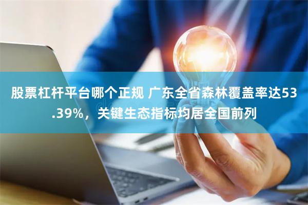 股票杠杆平台哪个正规 广东全省森林覆盖率达53.39%，关键生态指标均居全国前列