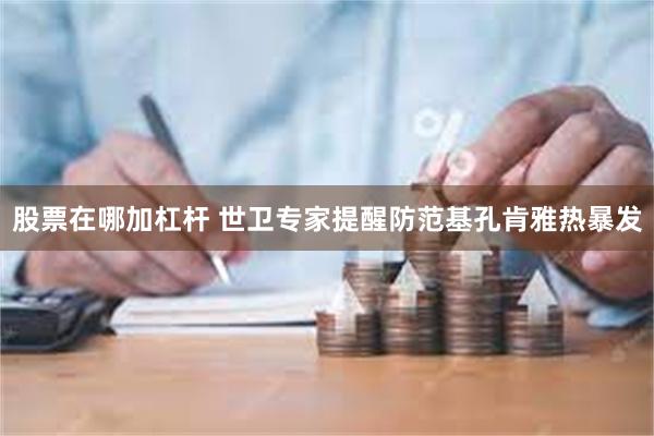 股票在哪加杠杆 世卫专家提醒防范基孔肯雅热暴发