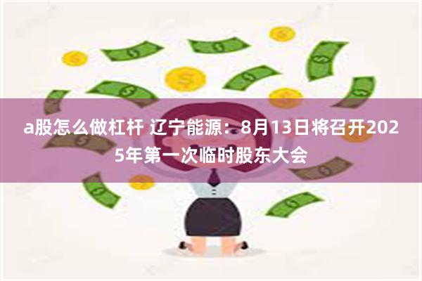 a股怎么做杠杆 辽宁能源：8月13日将召开2025年第一次临时股东大会
