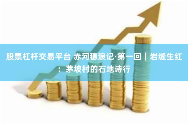 股票杠杆交易平台 赤河穗浪记·第一回｜岩缝生红：茅坡村的石地诗行
