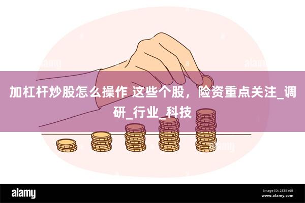 加杠杆炒股怎么操作 这些个股，险资重点关注_调研_行业_科技
