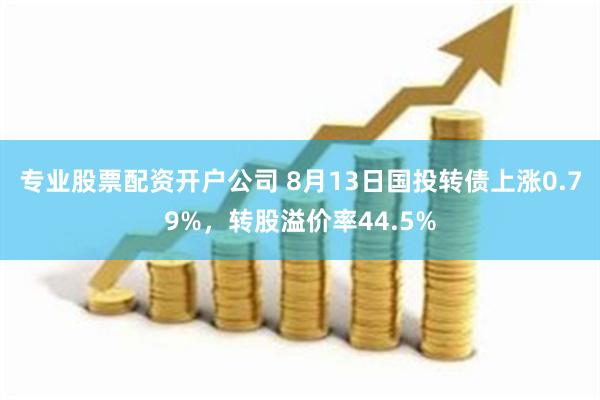 专业股票配资开户公司 8月13日国投转债上涨0.79%，转股溢价率44.5%