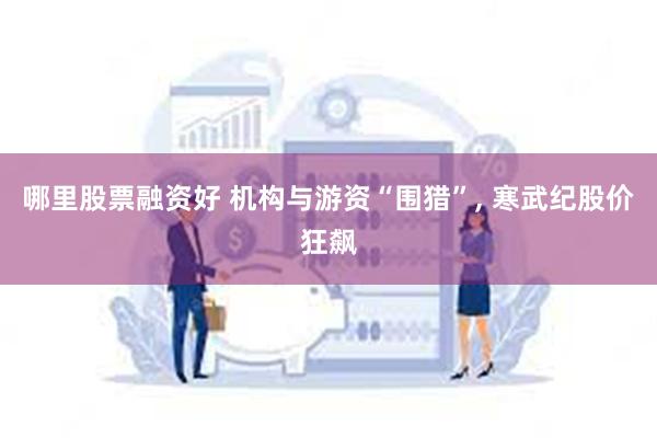 哪里股票融资好 机构与游资“围猎”, 寒武纪股价狂飙