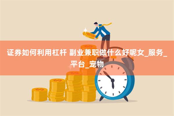 证券如何利用杠杆 副业兼职做什么好呢女_服务_平台_宠物
